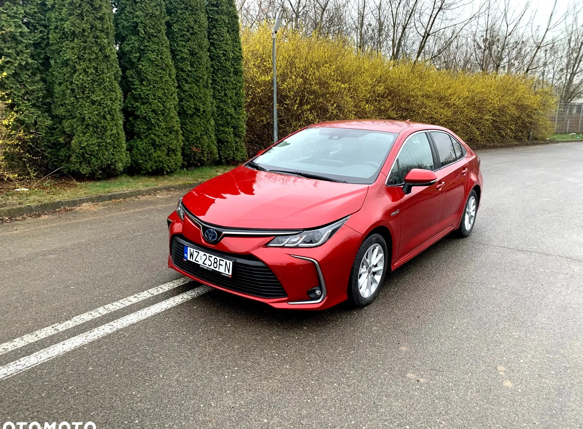 mazowieckie Toyota Corolla cena 79900 przebieg: 37000, rok produkcji 2020 z Radzyń Chełmiński